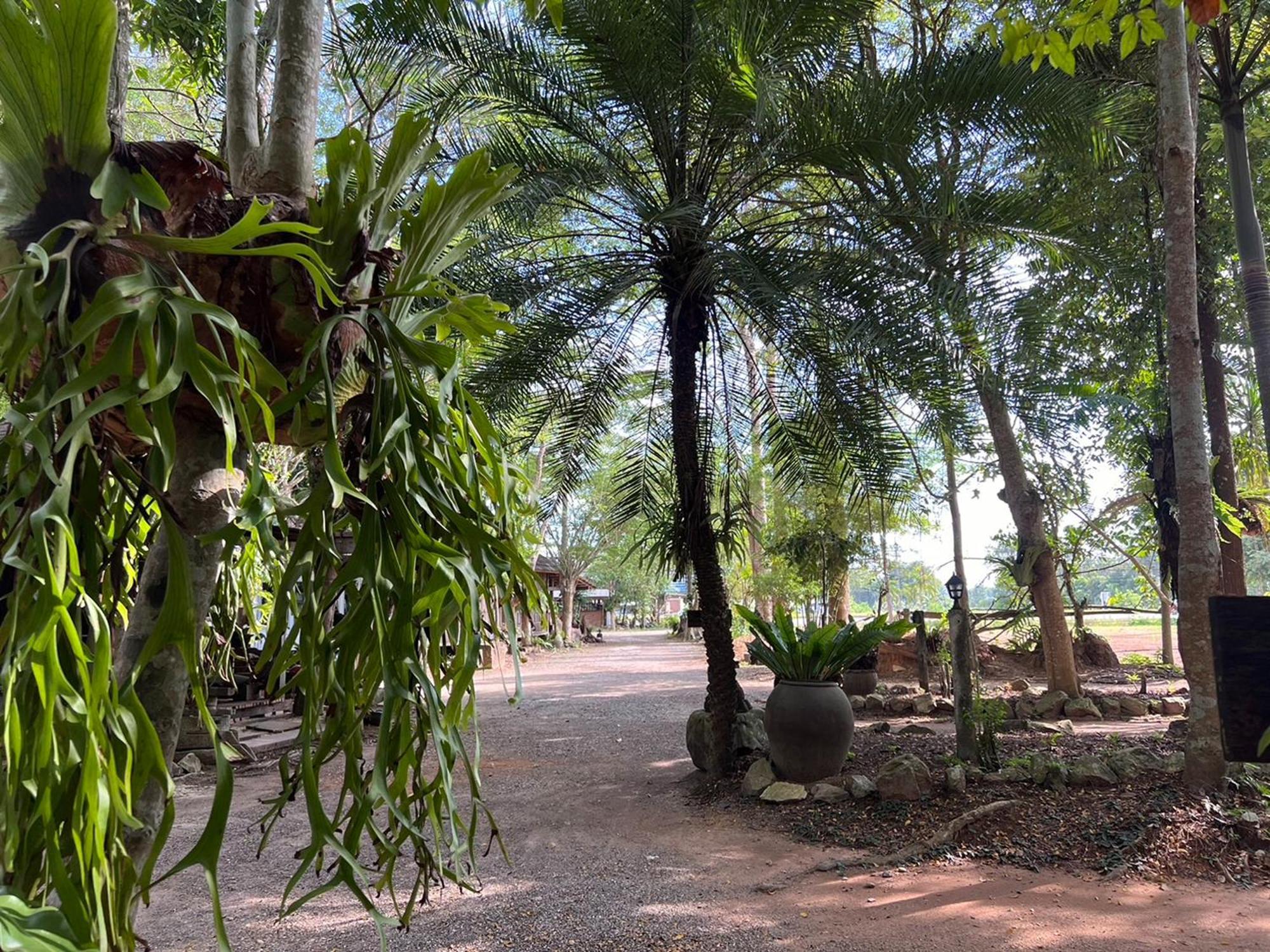 Pang Mai Resort Songkhla Exteriör bild