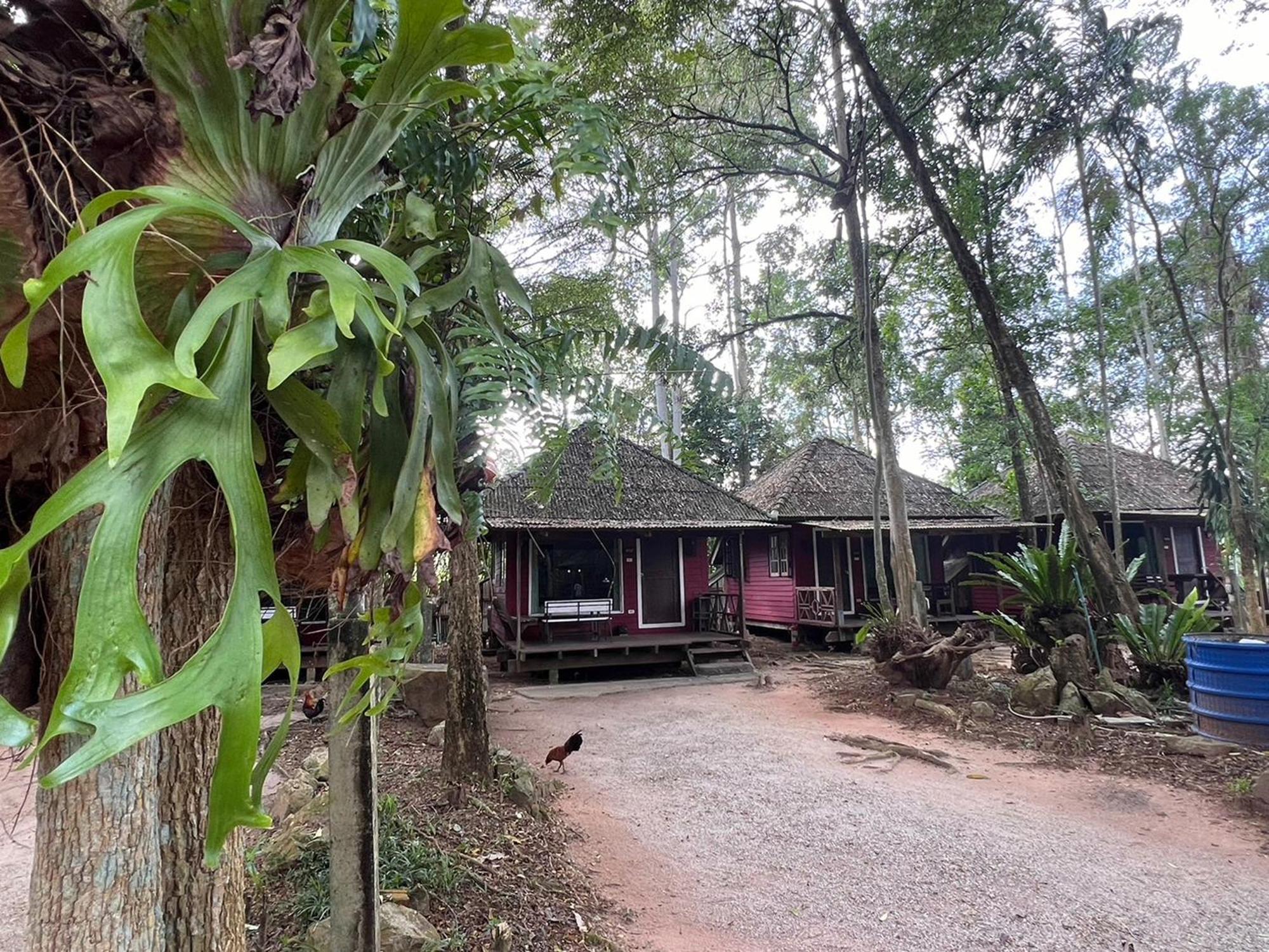 Pang Mai Resort Songkhla Exteriör bild