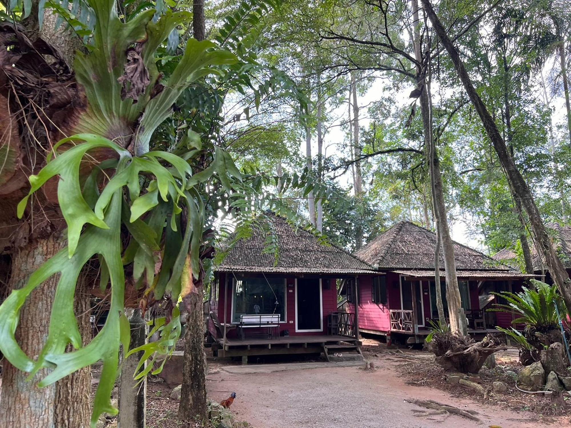 Pang Mai Resort Songkhla Exteriör bild
