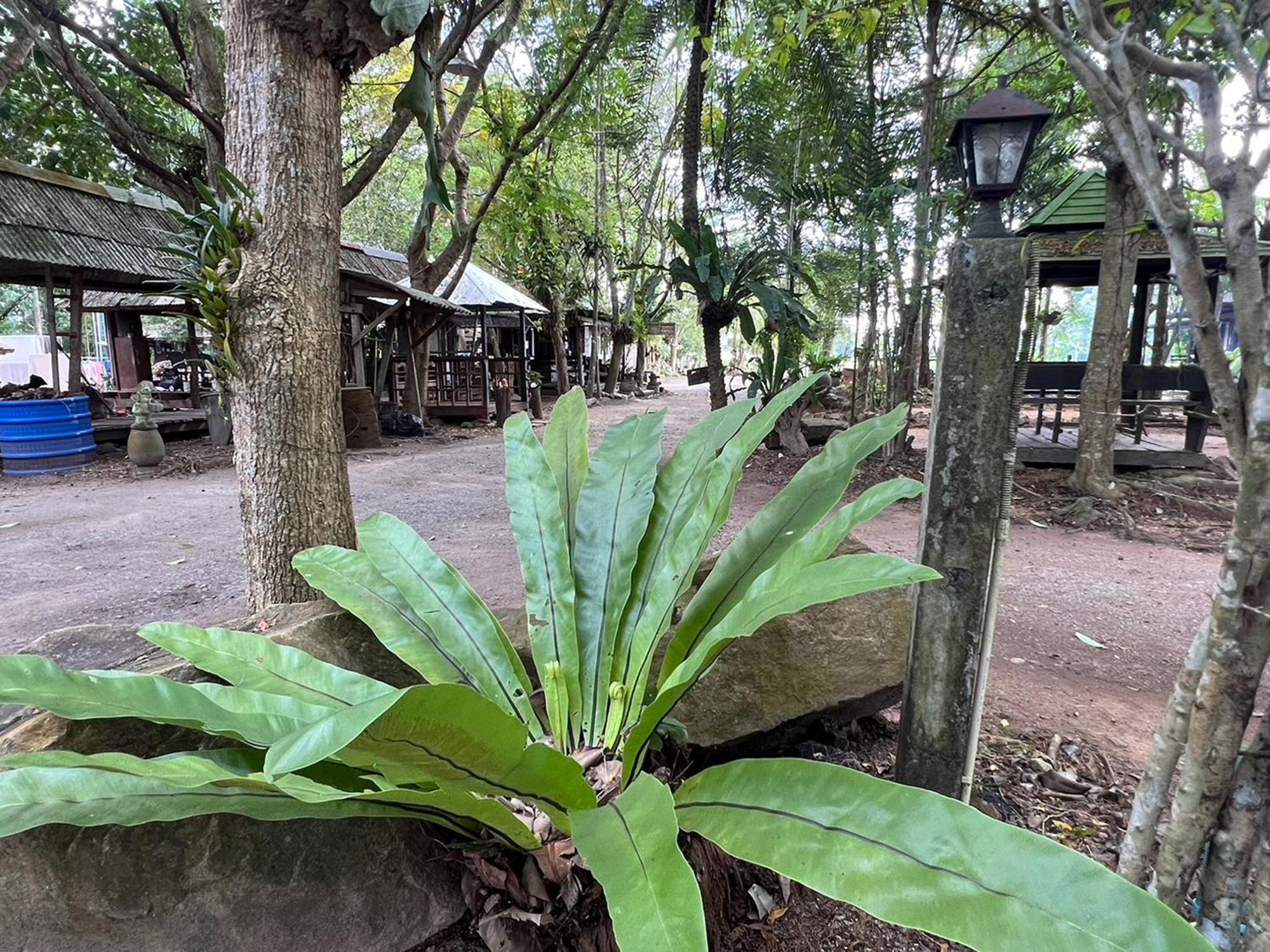 Pang Mai Resort Songkhla Exteriör bild